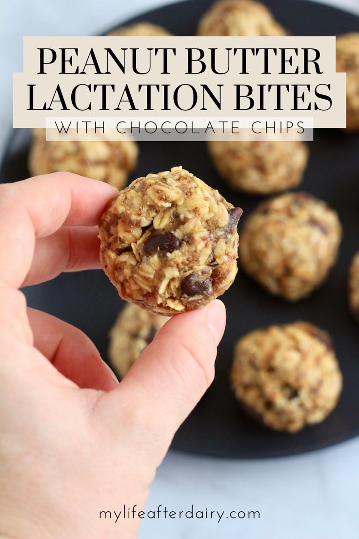 One-bowl and no-bake, these Peanut Butter Chocolate Chip Lactation Bites are the perfect snack for nursing moms! Packed with oats, brewer’s yeast, and ground flax meal, this healthy lactation recipe is also a one-handed snack you can quickly whip up during nap time! Best Snacks For Breastfeeding Moms, Brewer Yeast Recipes, Lactation Oatmeal Bites, Homemade Lactation Snacks, Best Foods To Eat While Breastfeeding, Lactation Oat Balls, Lactation Balls No Bake, Postpartum Lactation Snacks, Lactation Bites No Bake