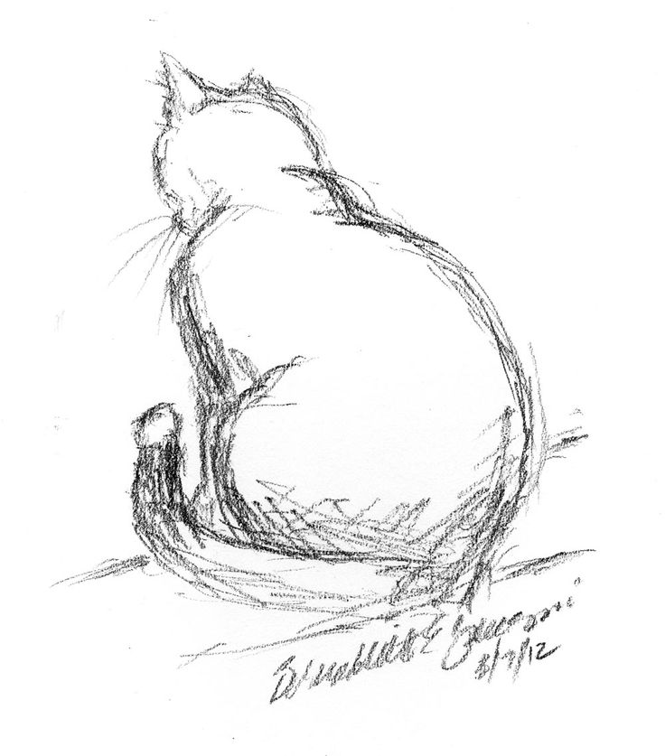 a pencil drawing of a cat sitting on the ground looking at something in the distance