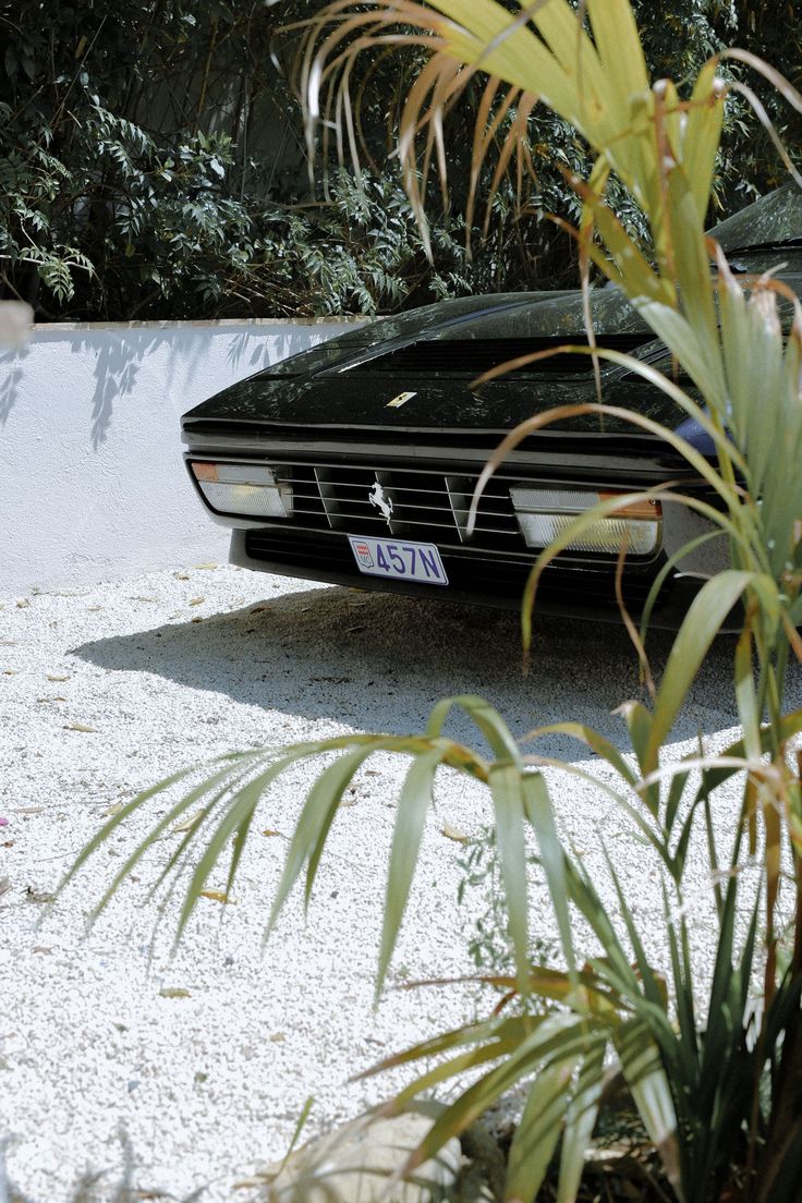 a black sports car parked in front of some trees and bushes on a sunny day