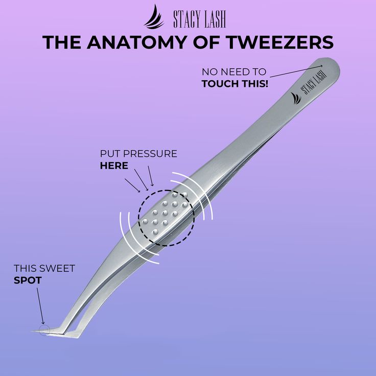 Lash Fans Tips, Lash Anatomy, Lash Fans, Lash Training, Lash Tweezers, Eyelash Technician, Lash Business, Eyelash Tweezer, Lash Artist