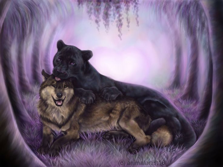 two black and brown dogs sitting next to each other in front of a purple background