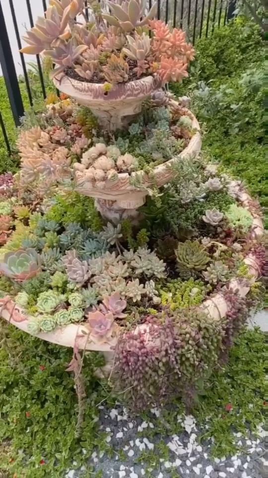 three tiered planter filled with succulents and other plants in the grass