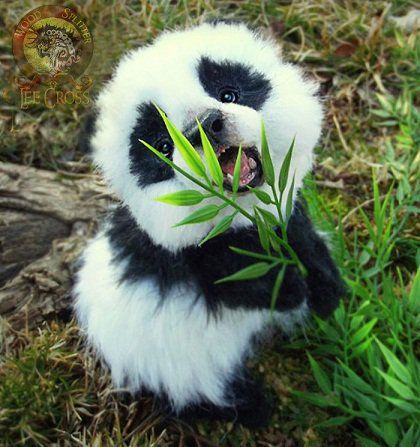 a baby panda eating bamboo with its mouth open and it's tongue hanging out