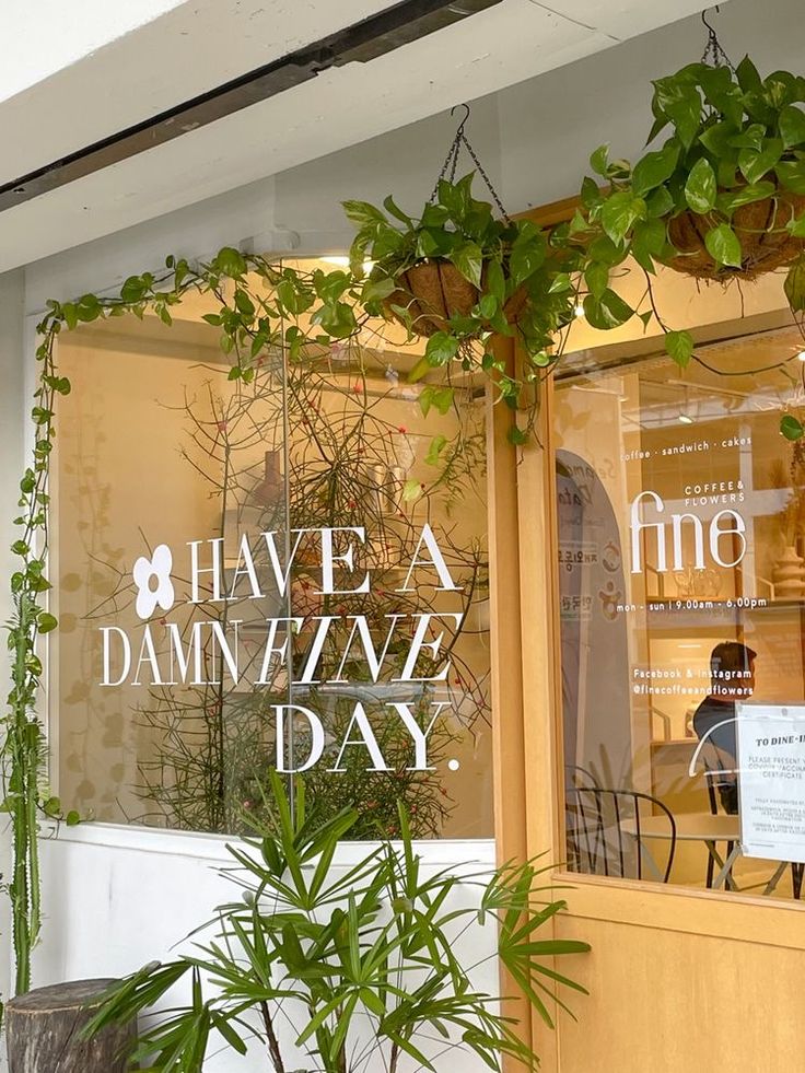 there is a plant growing out of the window in front of this store that says have a damnezy day