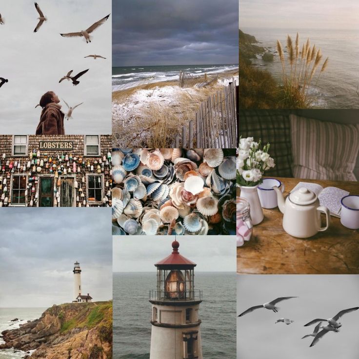 there are many different pictures with birds flying around the lighthouse and seagulls in the sky