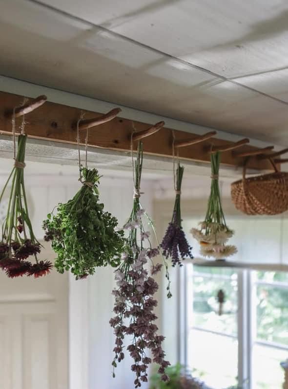 herbs hanging from the ceiling in a kitchen