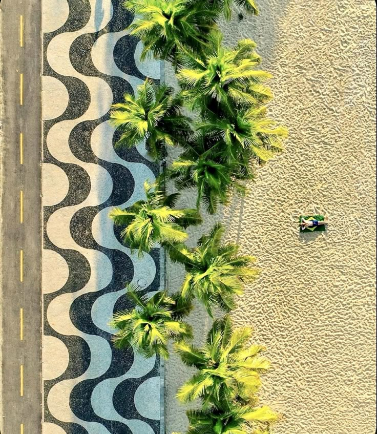 an aerial view of a beach with palm trees on the sand and cars driving down the road