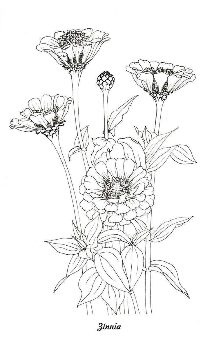 an ink drawing of flowers with the word inna in black and white on it