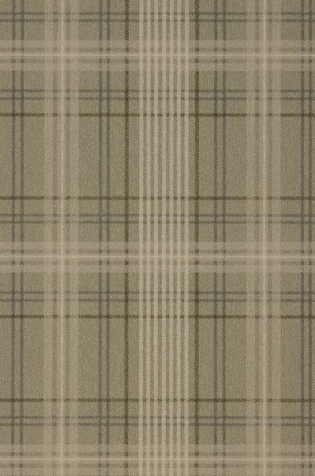 a beige plaid pattern that is very similar to the fabric used in this image, but with different colors