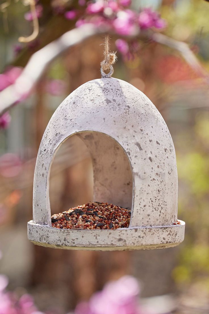 a bird feeder hanging from a tree with pink flowers in the backgroung