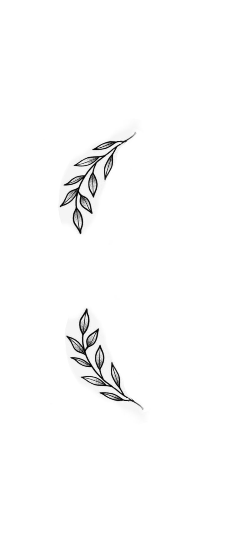 two black and white leaves on a white background