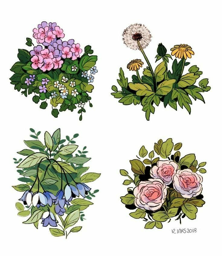 four different types of flowers on a white background