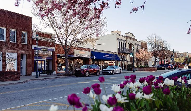 purple and white flowers are in the foreground on a city street with shops, stores, and cars