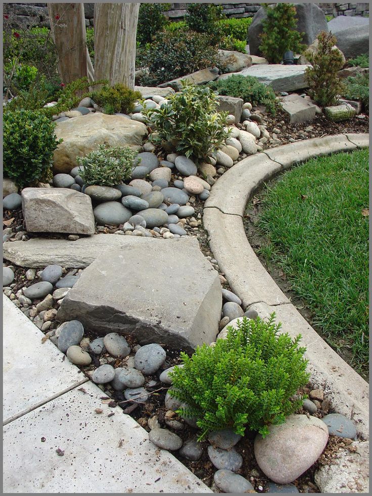 a garden with rocks and plants in it