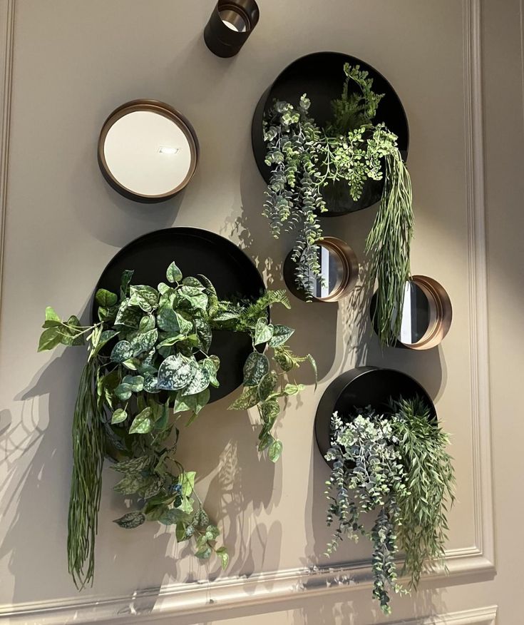 three black plates with plants on them hanging from the wall next to candles and dishes