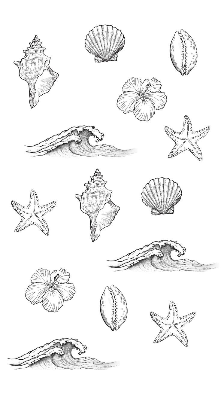 an image of seashells and starfish in black and white ink on paper