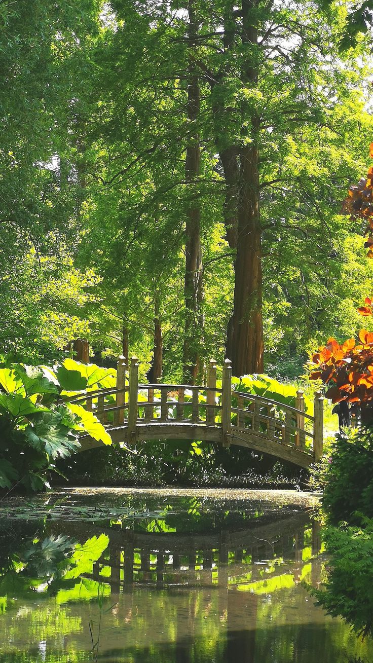 a wooden bridge over a small pond surrounded by trees