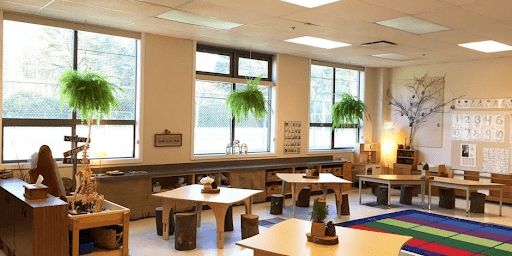 an empty classroom with desks, chairs and potted plants on the windowsill