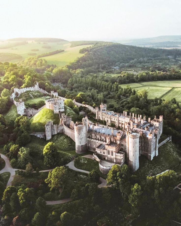 an aerial view of a castle surrounded by trees