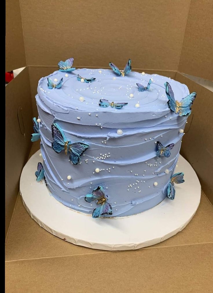 a blue cake in a box with butterflies on it's top and the bottom layer is frosted