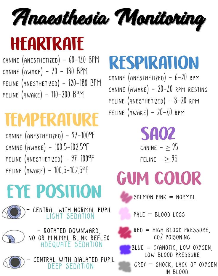 an info sheet with different types of eye colors