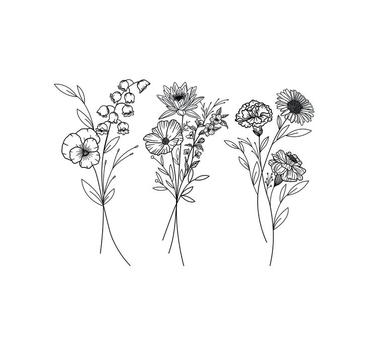 three different types of flowers are shown in this black and white photo, one is drawn with