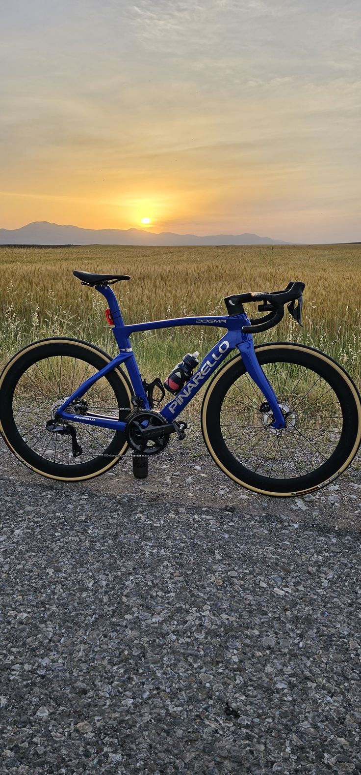 a blue bike parked on the side of a road in front of a wheat field