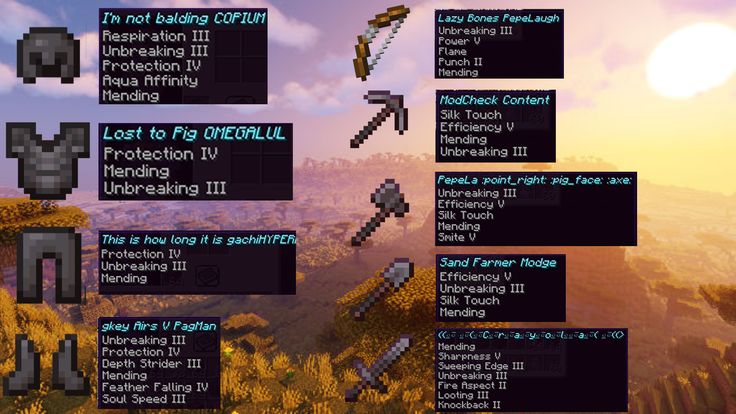 an image of some screenshots in minecraft with the names and numbers on them