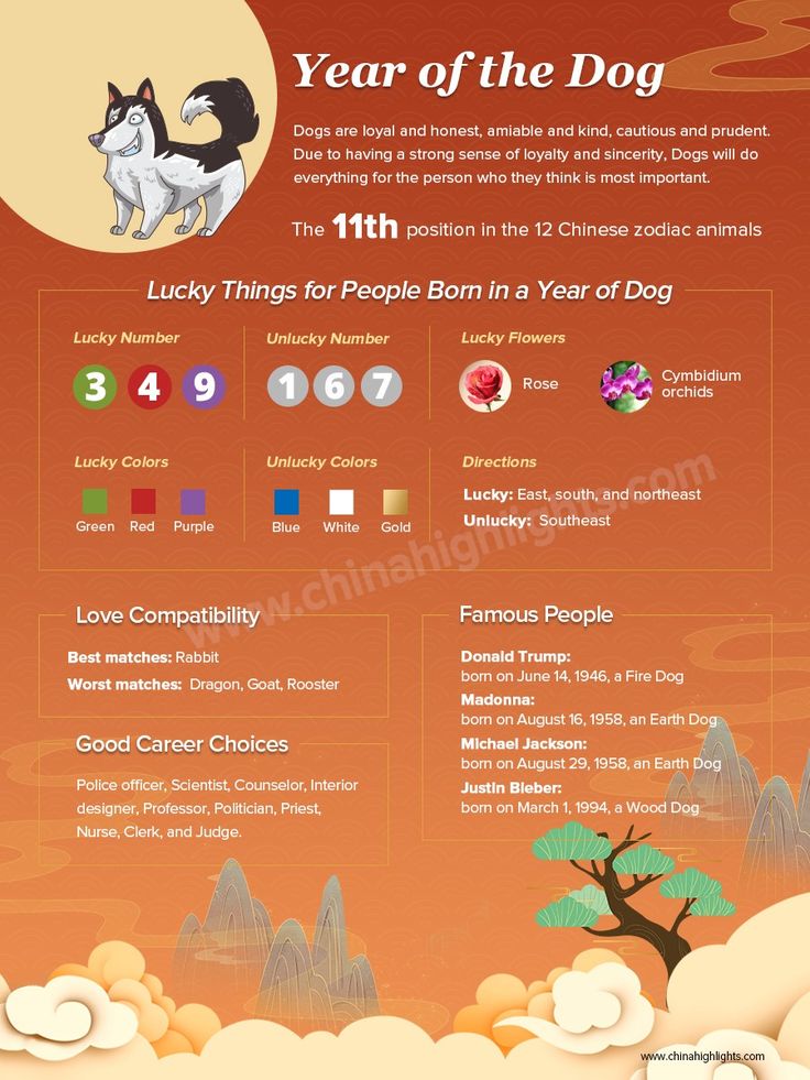 the year of the dog info sheet