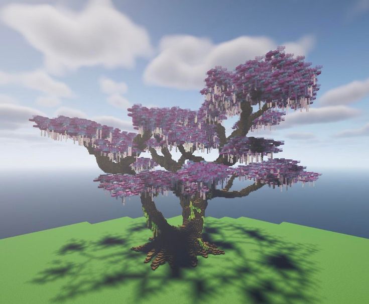 a tree with lots of purple flowers on it