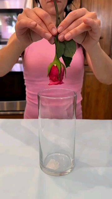 a woman holding a rose in her hand over a glass with water on the table