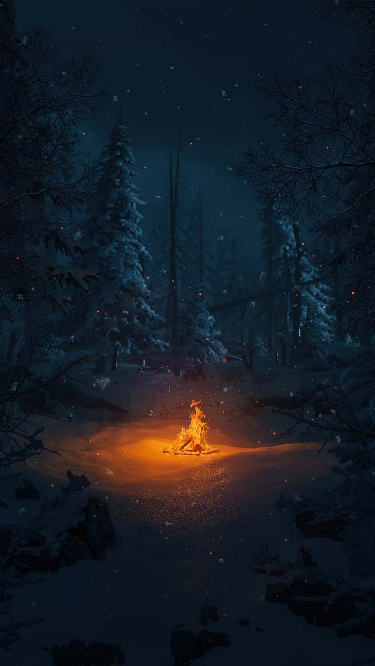 a fire in the middle of a forest at night with snow on the ground and trees