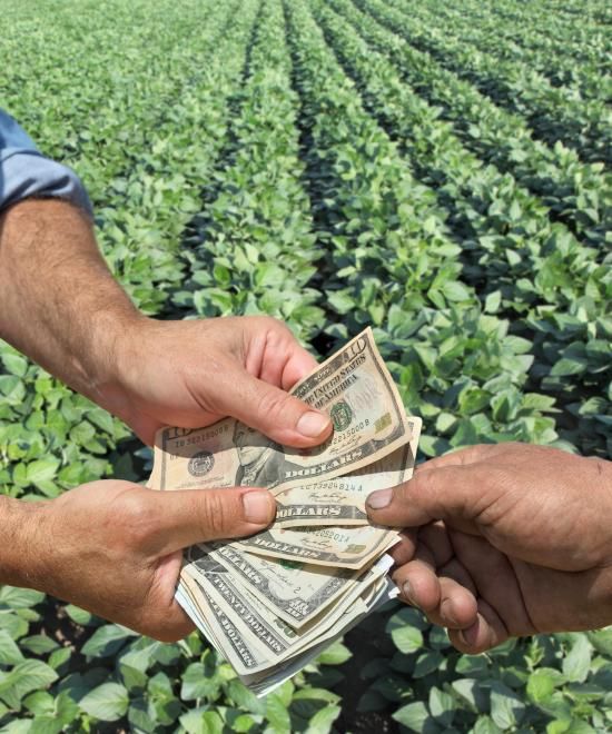 two men are exchanging money in a field