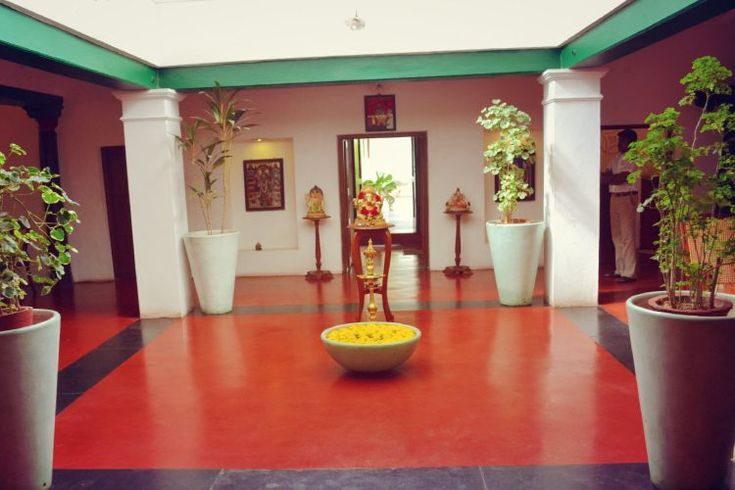 there are many potted plants in the room with red flooring and white walls