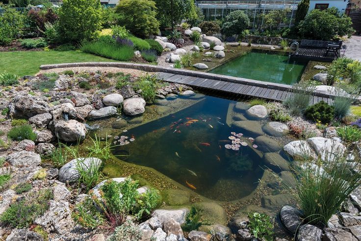 a small pond surrounded by rocks and plants