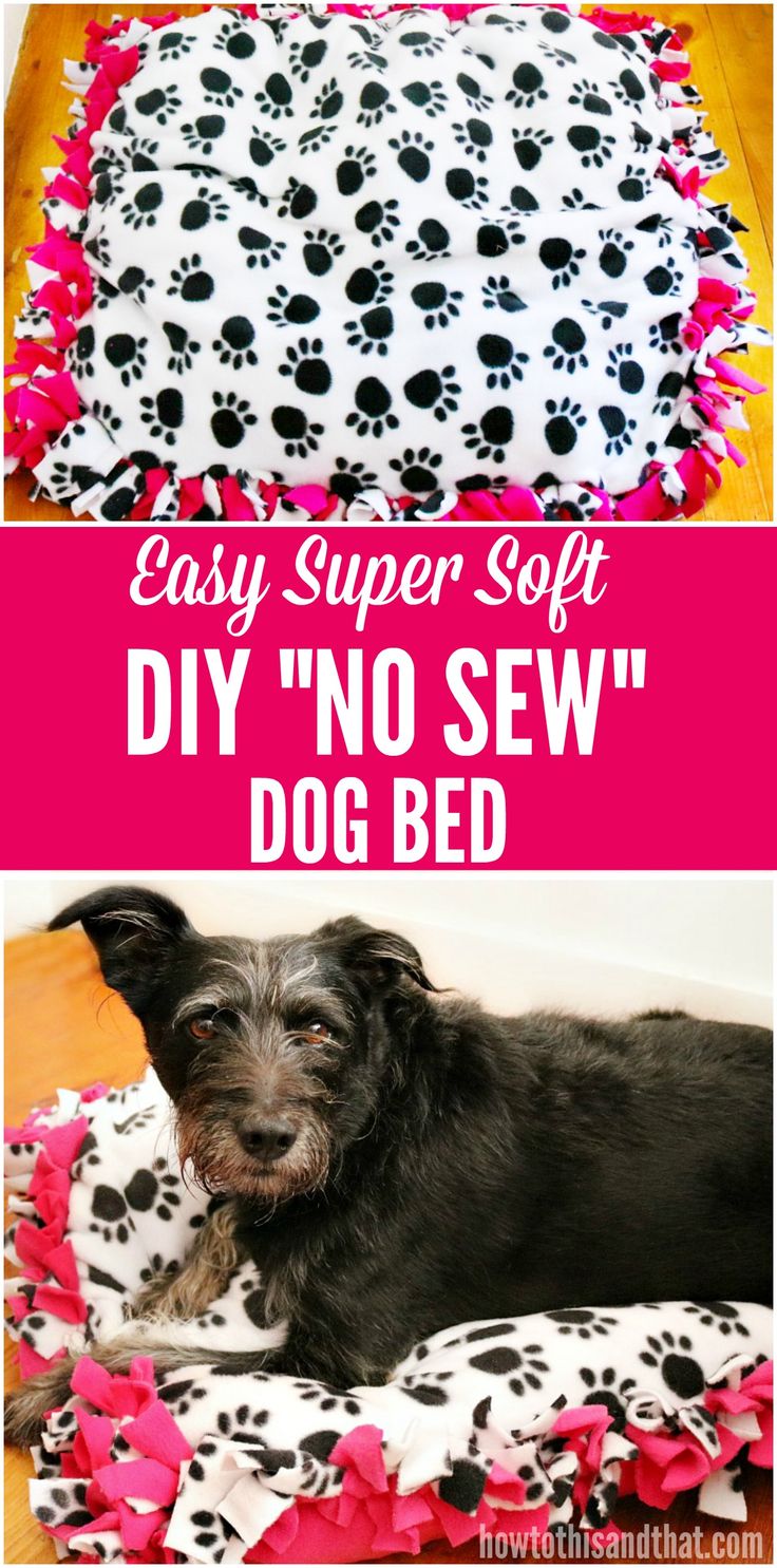 an easy diy no sew dog bed made out of fabric and paw prints