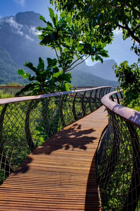 a wooden bridge over a lush green valley