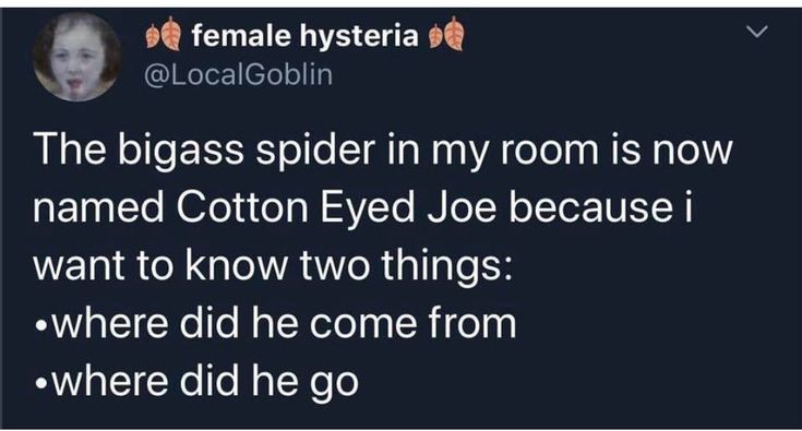 a tweet that reads, the biggs spider in my room is now named cotton eyed joe because i want to know two things where did he come from