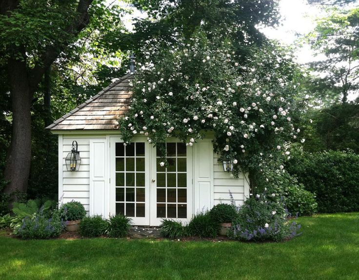 a white shed with roses growing on it