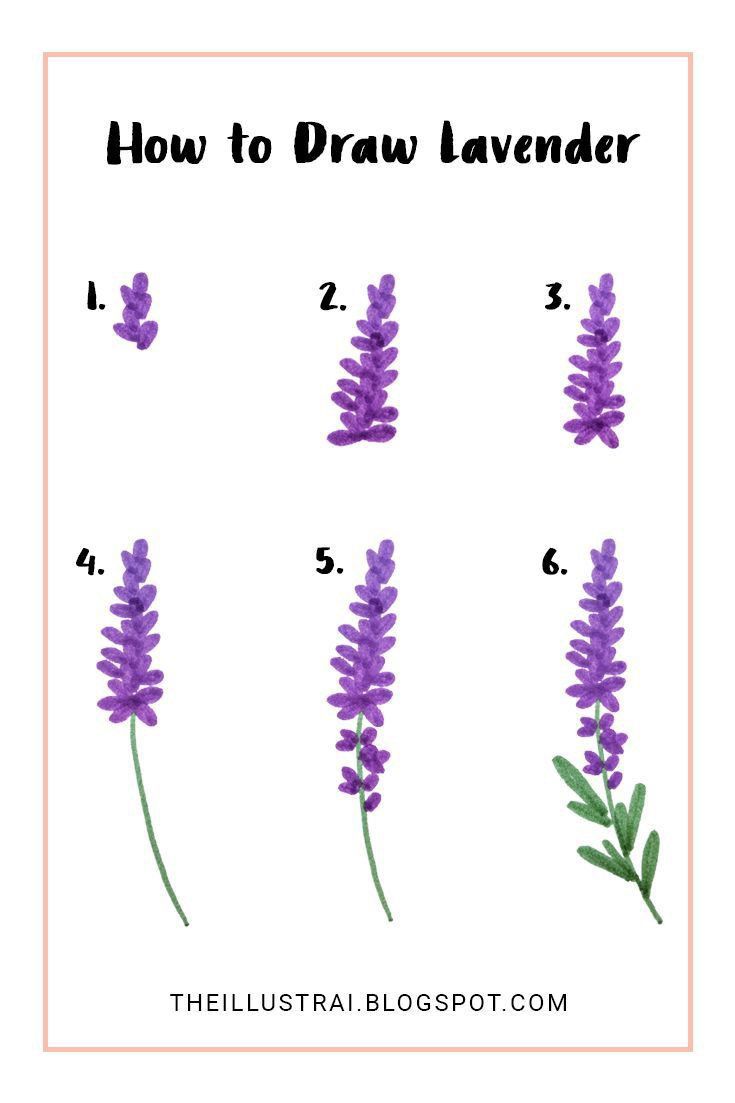 how to draw lavender flowers for beginners