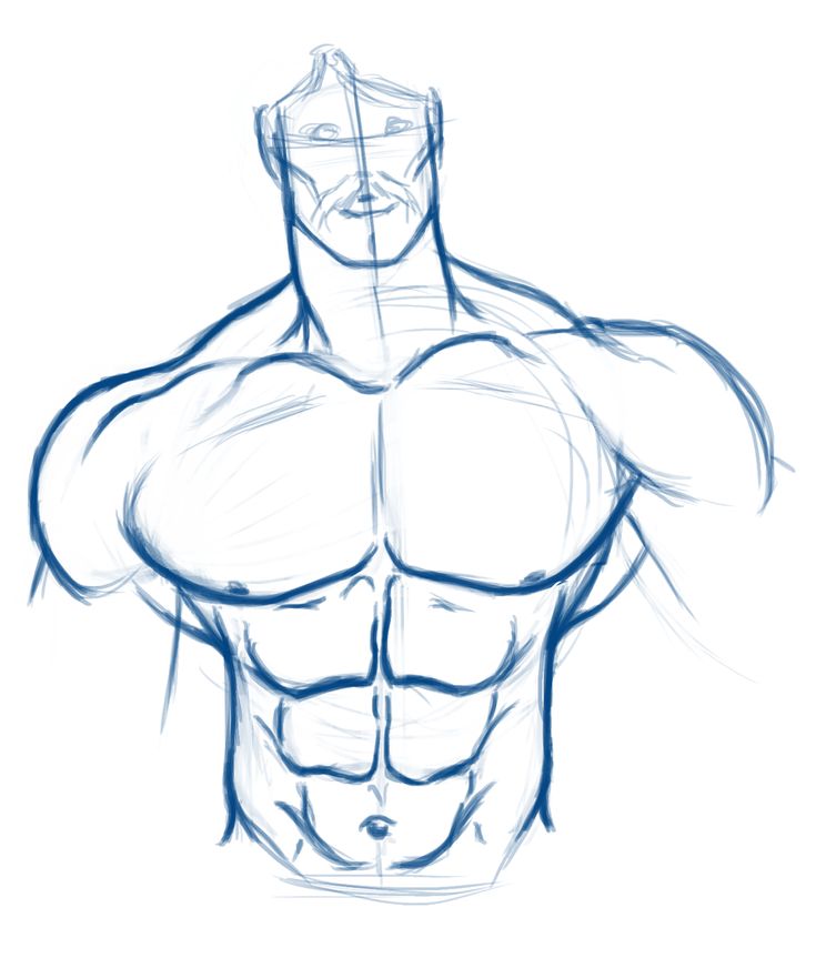 a drawing of a man's torso and chest