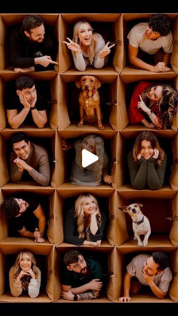 a group of people sitting in cardboard boxes with their faces covered by dogs and cats