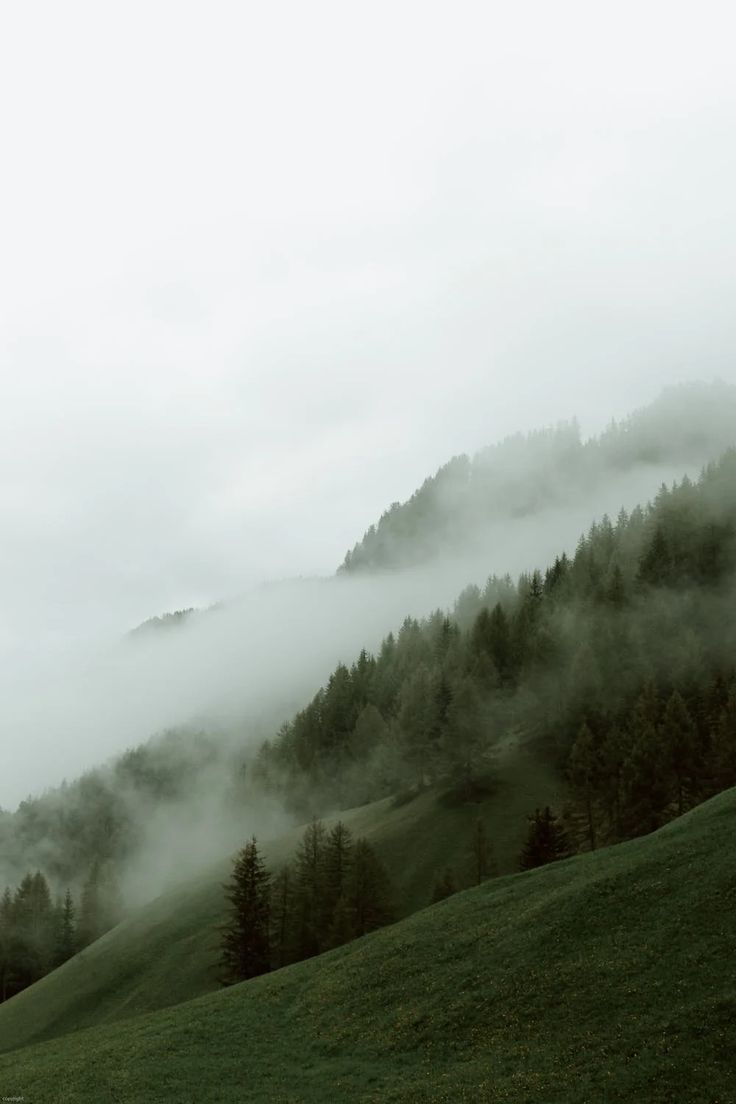 fog rolling in over the mountains and trees