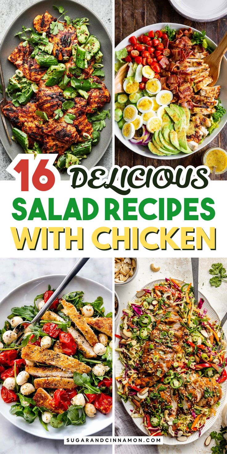 16 delicious salad recipes with chicken