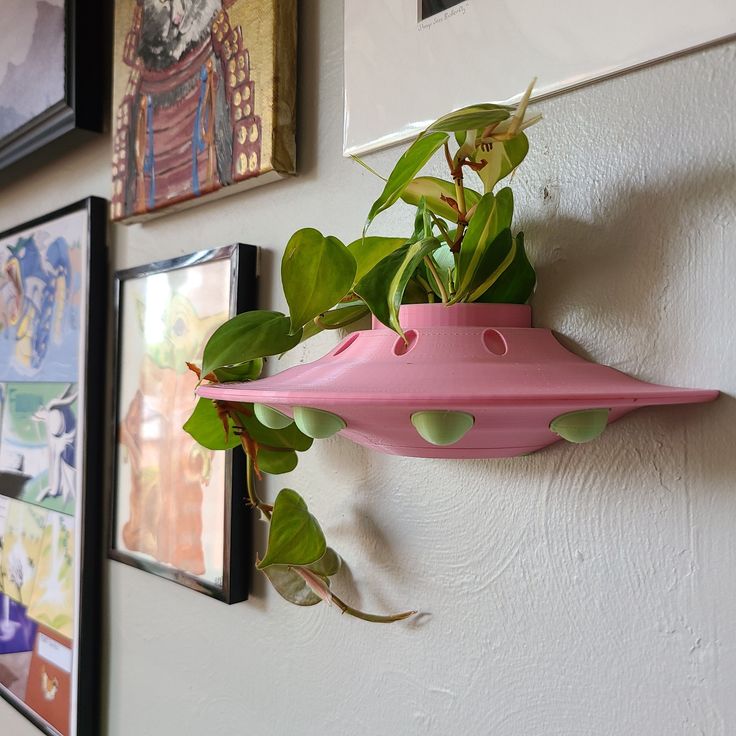 a pink planter hanging from the side of a wall next to pictures on the wall