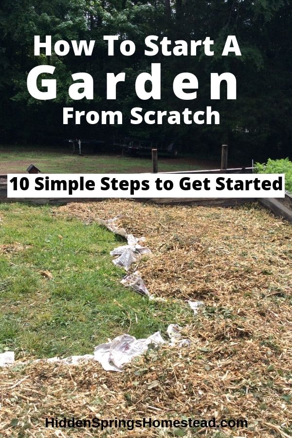 a garden with the title how to start a garden from scratch 10 simple steps to get started