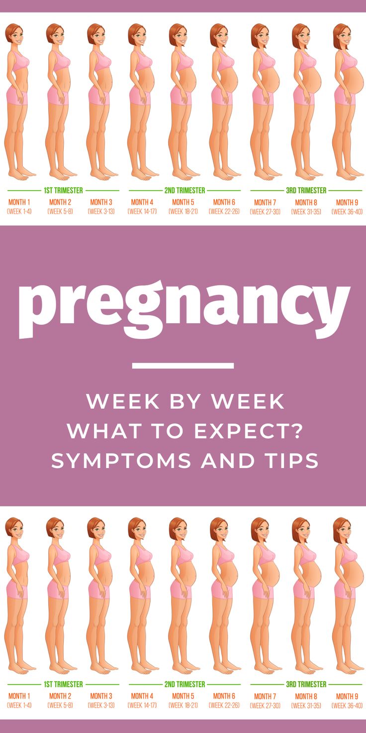 the pregnant woman's body is shown in this poster, which shows how to expect and