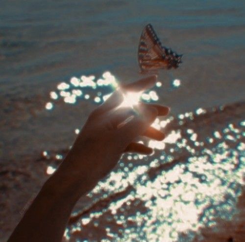 a person holding a butterfly in their hand on the beach with sunlight reflecting off the water