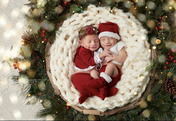 two babies are laying in a christmas wreath