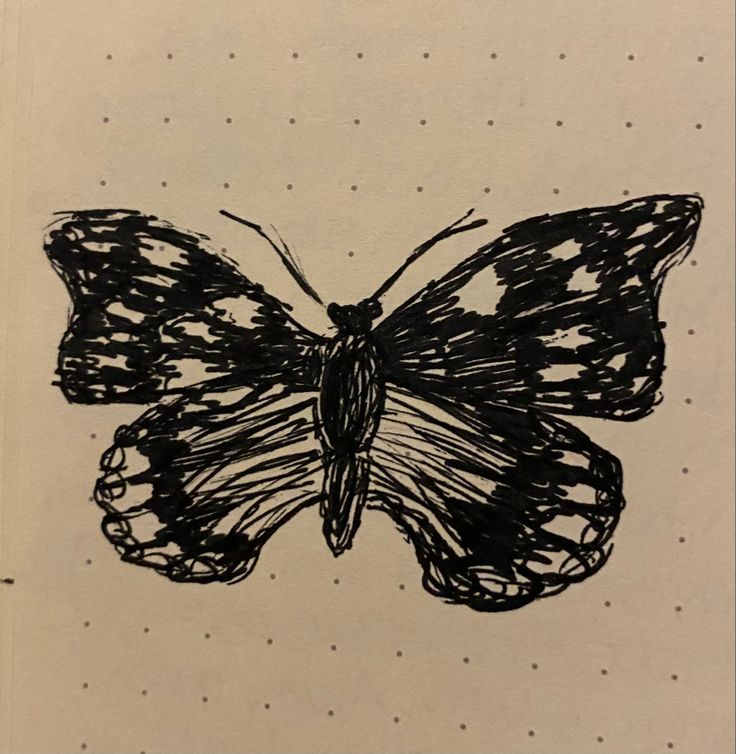 a black and white drawing of a butterfly with dots on it's back side